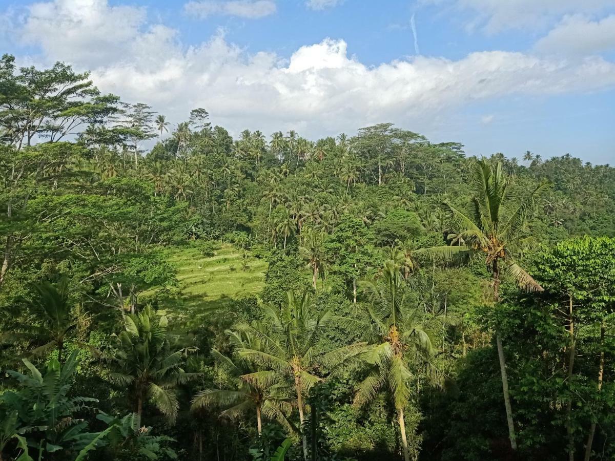 Tirta Asri Ubud Villa Exterior foto