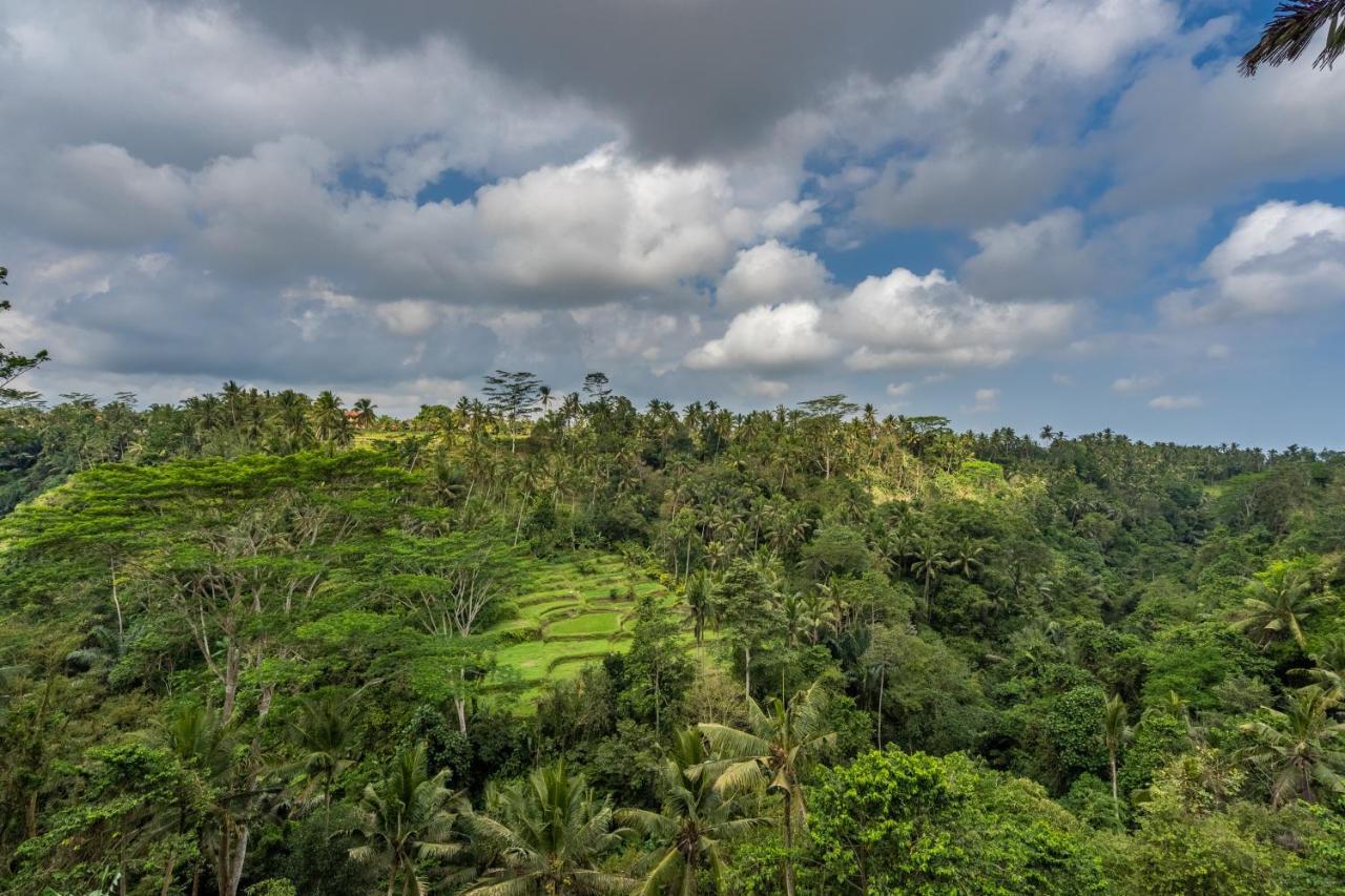 Tirta Asri Ubud Villa Exterior foto